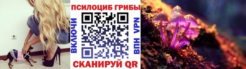 Галлюциногенные грибы Psilocybe  сколько стоит  Бикин 