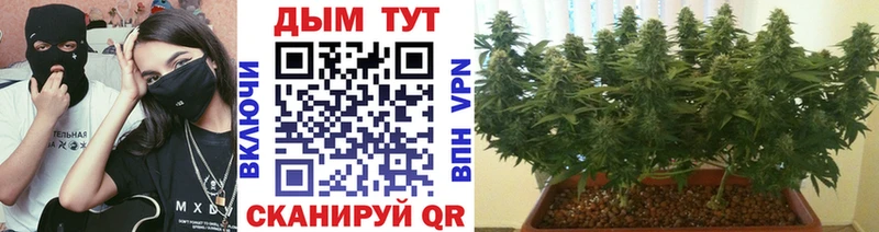 Конопля Ganja  ОМГ ОМГ ССЫЛКА  Бикин  цена наркотик 
